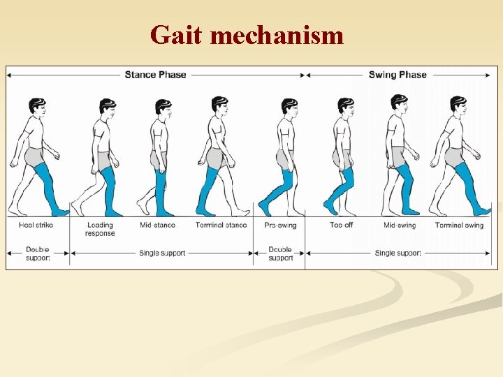 Gait mechanism 