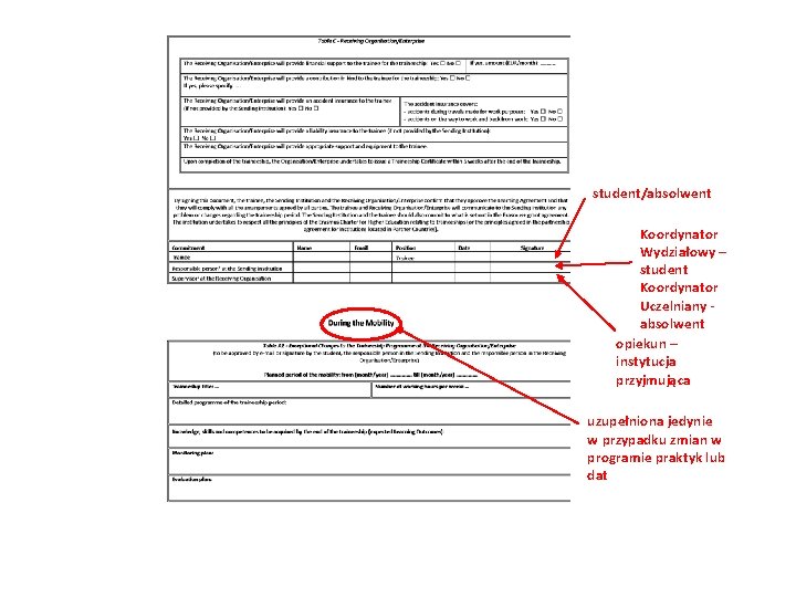 student/absolwent Koordynator Wydziałowy – student Koordynator Uczelniany - absolwent opiekun – instytucja przyjmująca uzupełniona