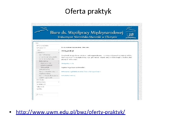 Oferta praktyk • http: //www. uwm. edu. pl/bwz/oferty-praktyk/ 