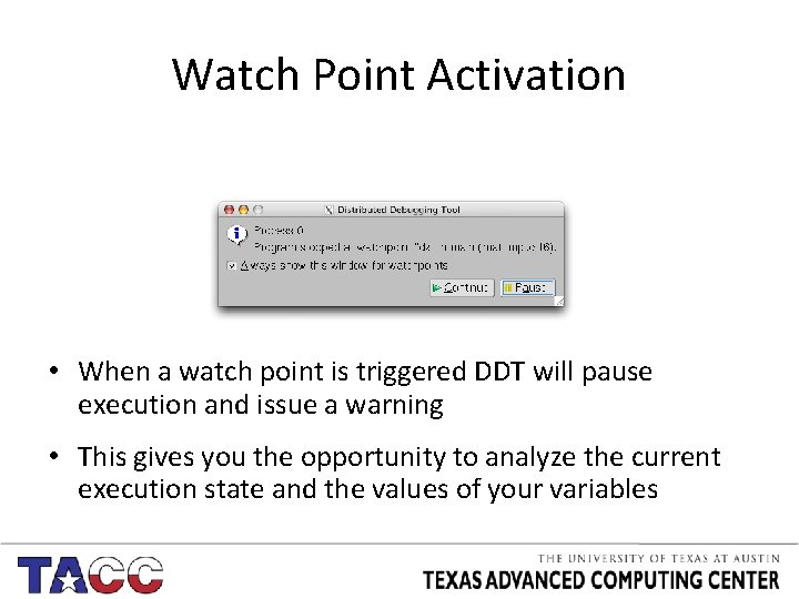 Watch Point Activation • When a watch point is triggered DDT will pause execution