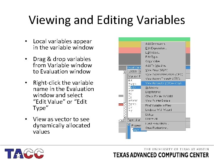 Viewing and Editing Variables • Local variables appear in the variable window • Drag