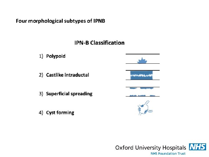 Four morphological subtypes of IPNB 