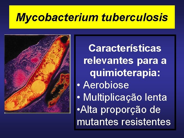 Mycobacterium tuberculosis Características relevantes para a quimioterapia: • Aerobiose • Multiplicação lenta • Alta