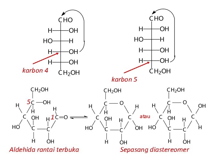 karbon 4 karbon 5 5 1 Aldehida rantai terbuka Sepasang diastereomer 