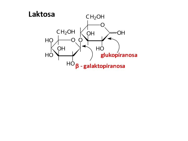 Laktosa glukopiranosa β - galaktopiranosa 