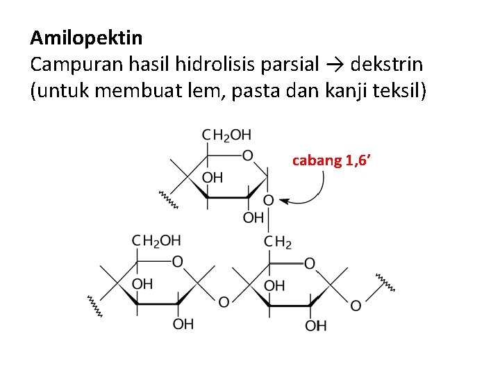 Amilopektin Campuran hasil hidrolisis parsial → dekstrin (untuk membuat lem, pasta dan kanji teksil)