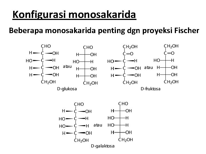 Konfigurasi monosakarida Beberapa monosakarida penting dgn proyeksi Fischer 