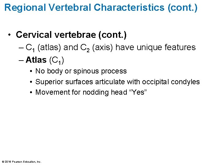 Regional Vertebral Characteristics (cont. ) • Cervical vertebrae (cont. ) – C 1 (atlas) Regional Vertebral Characteristics (cont. ) • Cervical vertebrae (cont. ) – C 1 (atlas)