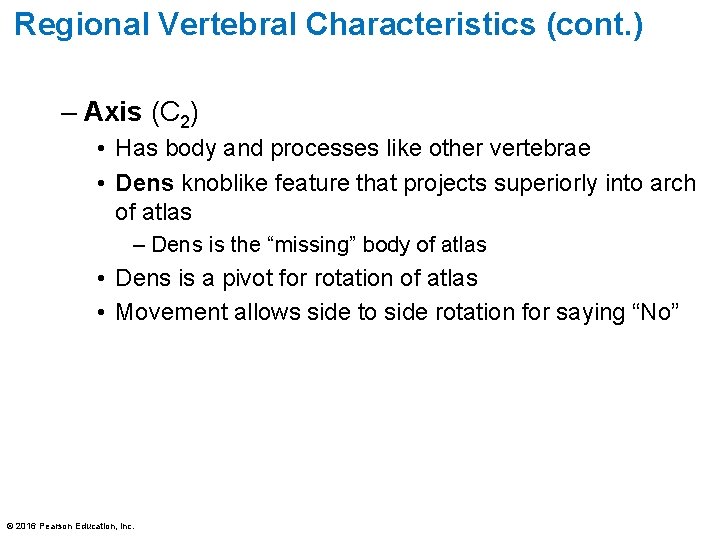 Regional Vertebral Characteristics (cont. ) – Axis (C 2) • Has body and processes Regional Vertebral Characteristics (cont. ) – Axis (C 2) • Has body and processes