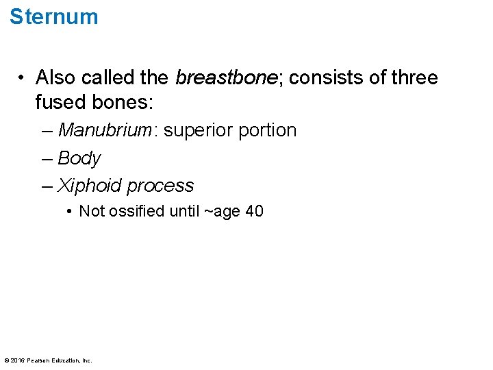 Sternum • Also called the breastbone; consists of three fused bones: – Manubrium: superior Sternum • Also called the breastbone; consists of three fused bones: – Manubrium: superior