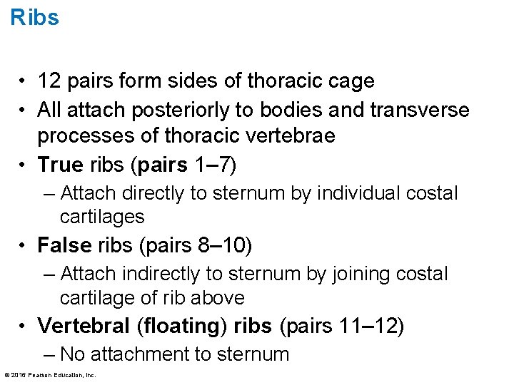Ribs • 12 pairs form sides of thoracic cage • All attach posteriorly to Ribs • 12 pairs form sides of thoracic cage • All attach posteriorly to