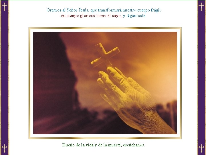 Oremos al Señor Jesús, que transformará nuestro cuerpo frágil en cuerpo glorioso como el