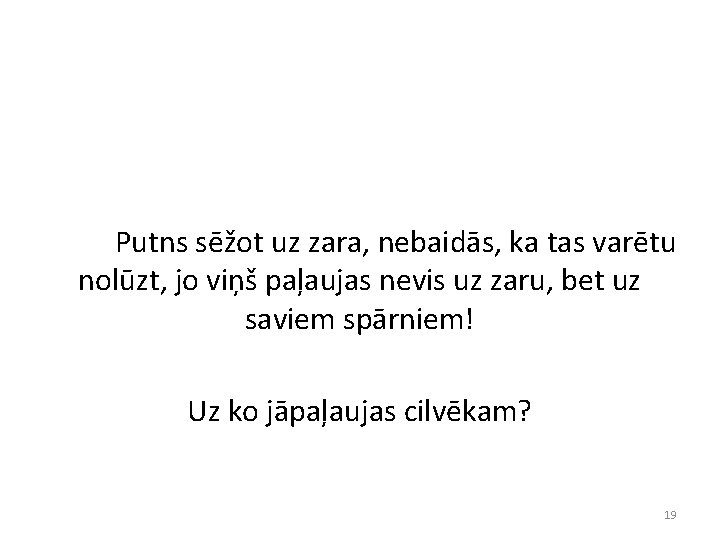 Putns sēžot uz zara, nebaidās, ka tas varētu nolūzt, jo viņš paļaujas nevis uz