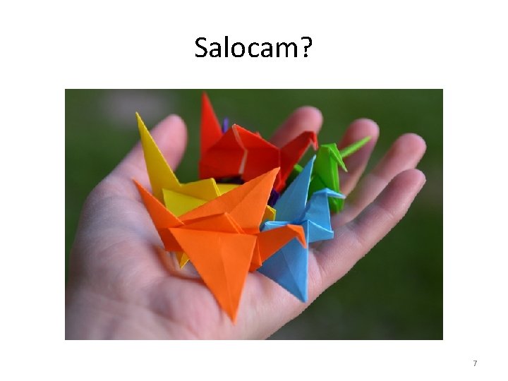 Salocam? 7 