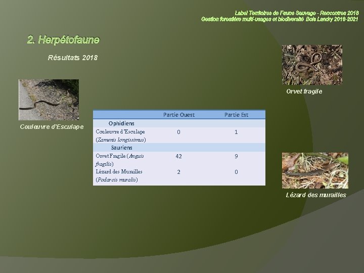 Label Territoires de Faune Sauvage - Rencontres 2018 Gestion forestière multi-usages et biodiversité Bois