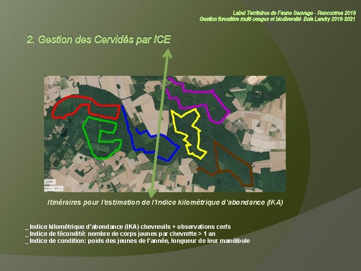 Label Territoires de Faune Sauvage - Rencontres 2018 Gestion forestière multi-usages et biodiversité Bois