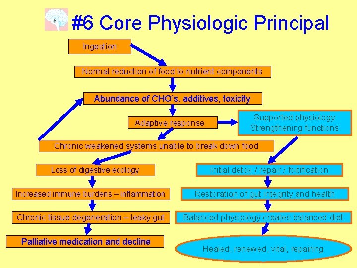 #6 Core Physiologic Principal Ingestion Normal reduction of food to nutrient components Abundance of