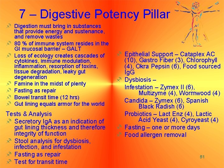 7 – Digestive Potency Pillar f Digestion must bring in substances that provide energy