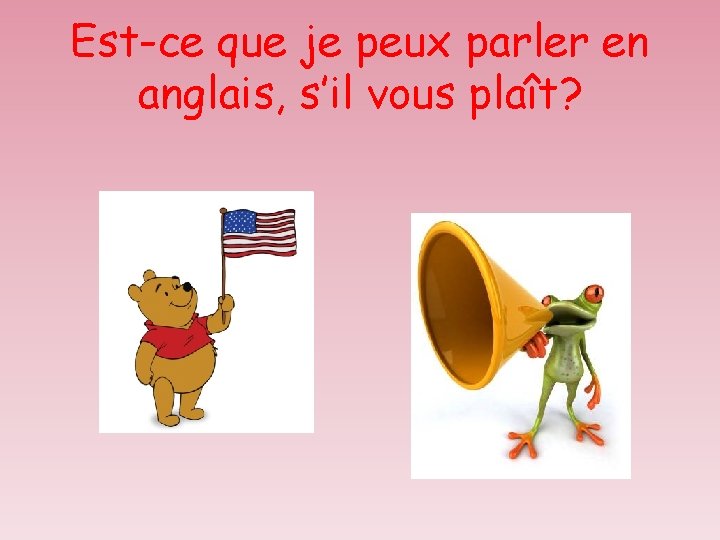 Est-ce que je peux parler en anglais, s’il vous plaît? 