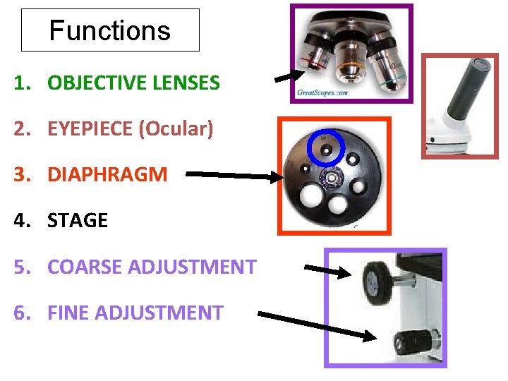 The Mi croscope Compound Microscope lesson objectives Be