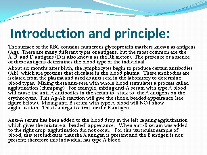 Introduction and principle: The surface of the RBC contains numerous glycoprotein markers known as