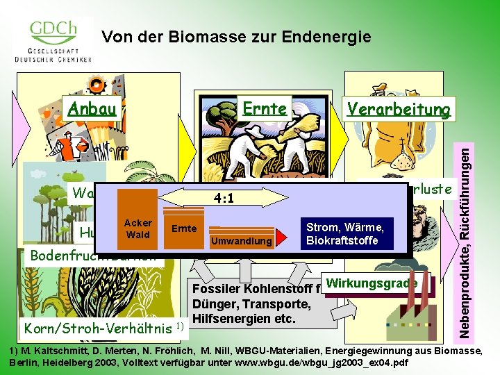 Von der Biomasse zur Endenergie Ernte Wasser Acker Humusbilanz Wald Erosion 4: 1 Ernteverluste