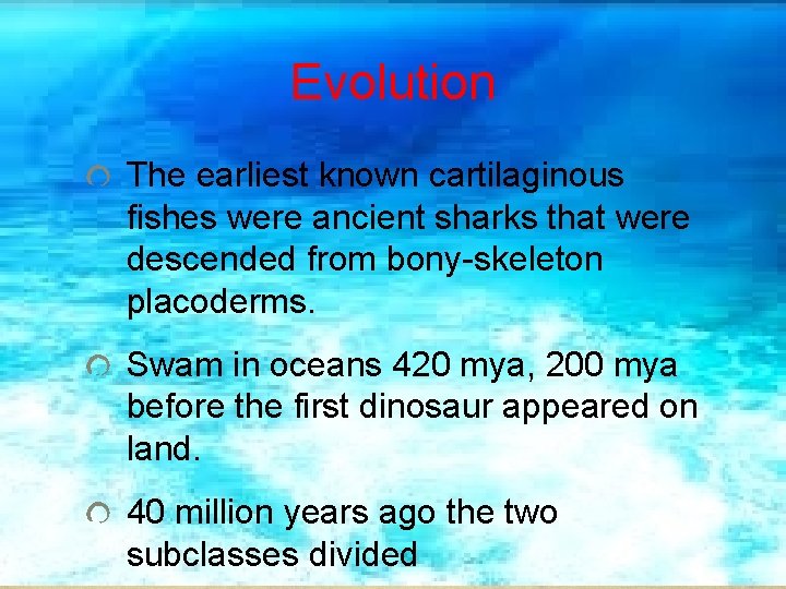 Evolution The earliest known cartilaginous fishes were ancient sharks that were descended from bony-skeleton