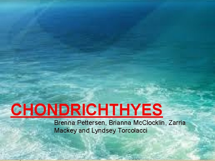 CHONDRICHTHYES Brenna Pettersen, Brianna Mc. Clocklin, Zarria Mackey and Lyndsey Torcolacci 