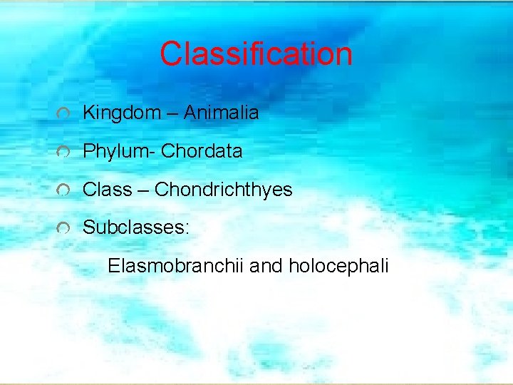Classification Kingdom – Animalia Phylum- Chordata Class – Chondrichthyes Subclasses: Elasmobranchii and holocephali 