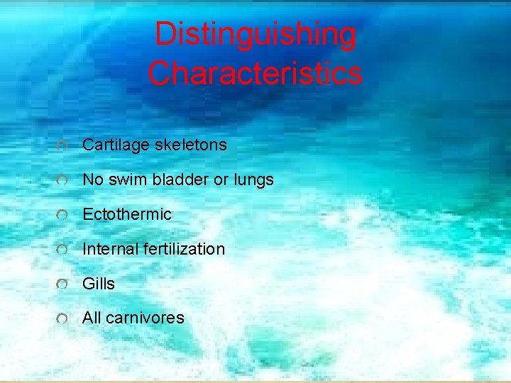 Distinguishing Characteristics Cartilage skeletons No swim bladder or lungs Ectothermic Internal fertilization Gills All
