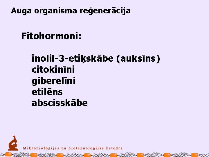 Auga organisma reģenerācija Fitohormoni: inolil-3 -etiķskābe (auksīns) citokinīni giberelīni etilēns abscisskābe 