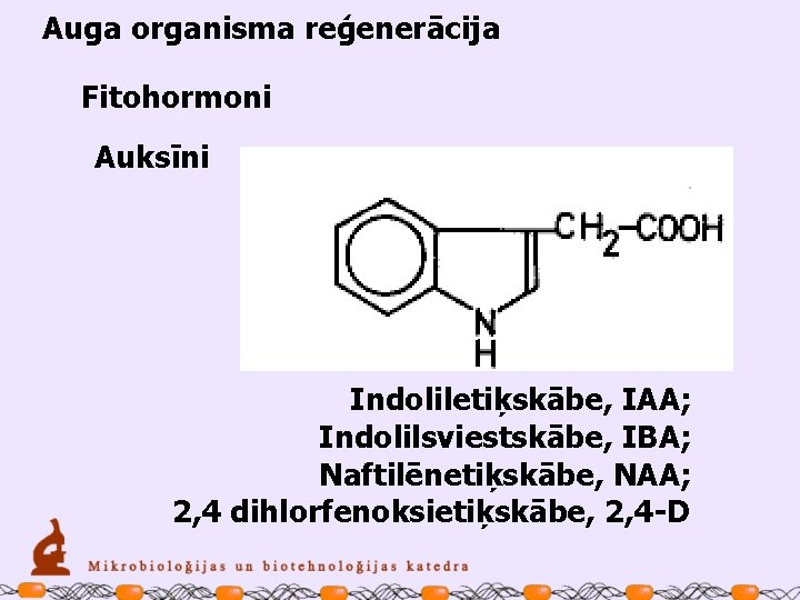 Auga organisma reģenerācija Fitohormoni Auksīni Indoliletiķskābe, IAA; Indolilsviestskābe, IBA; Naftilēnetiķskābe, NAA; 2, 4 dihlorfenoksietiķskābe,