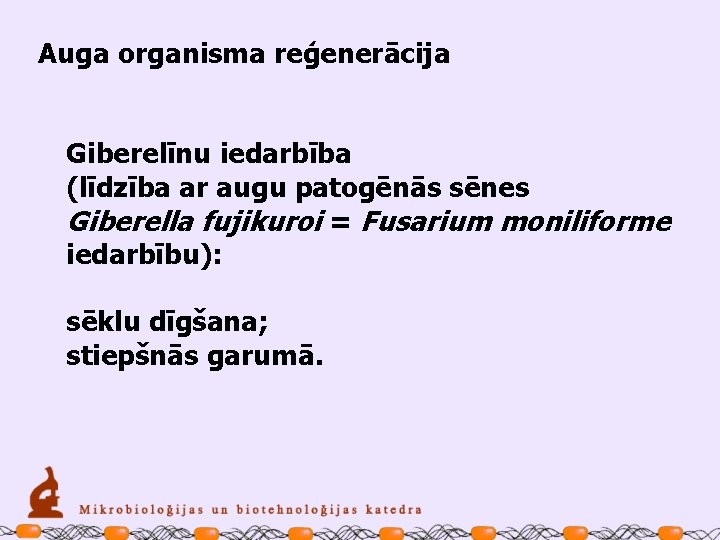 Auga organisma reģenerācija Giberelīnu iedarbība (līdzība ar augu patogēnās sēnes Giberella fujikuroi = Fusarium