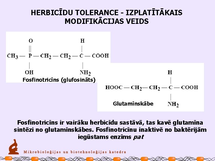 HERBICĪDU TOLERANCE - IZPLATĪTĀKAIS MODIFIKĀCIJAS VEIDS Fosfinotricīns (glufosināts) Glutamīnskābe Fosfinotricīns ir vairāku herbicīdu sastāvā,