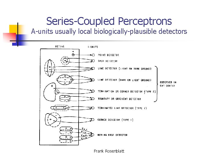 Series-Coupled Perceptrons A-units usually local biologically-plausible detectors Frank Rosenblatt 