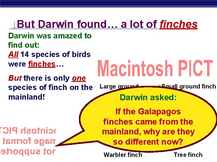 But Darwin found… a lot of finches Darwin was amazed to find out: All