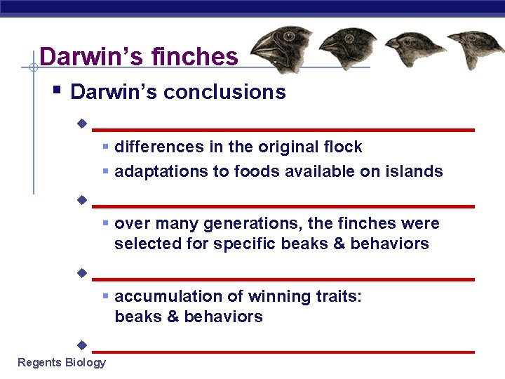 Darwin’s finches § Darwin’s conclusions u __________________ § differences in the original flock §