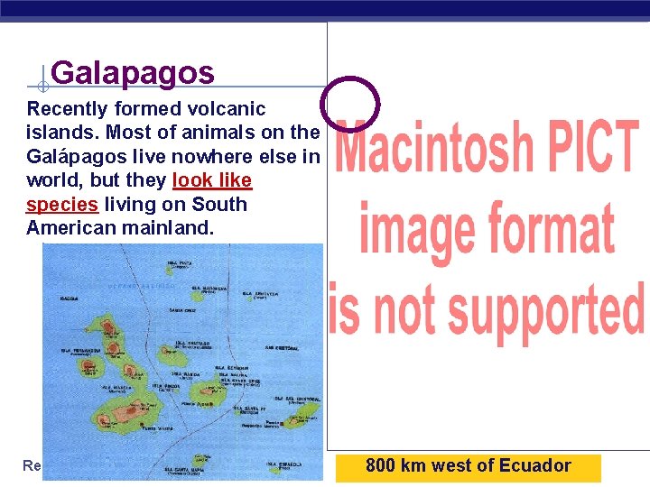 Galapagos Recently formed volcanic islands. Most of animals on the Galápagos live nowhere else