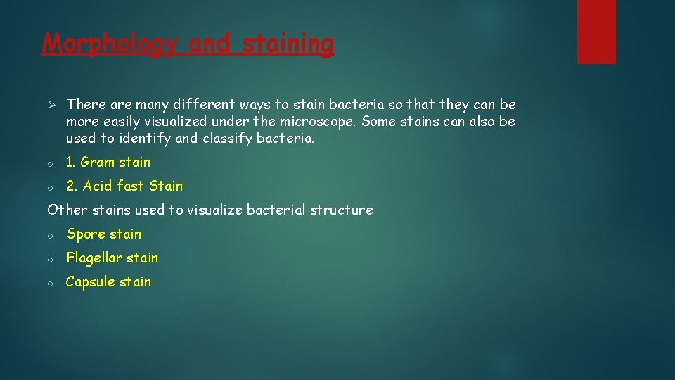 Morphology and staining Ø There are many different ways to stain bacteria so that