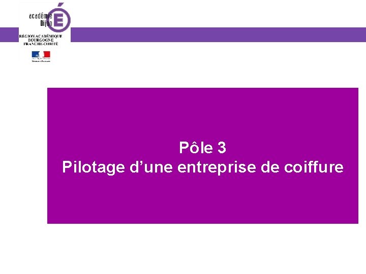 Pôle 3 Pilotage d’une entreprise de coiffure 