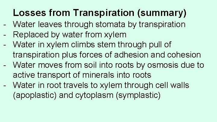 Losses from Transpiration (summary) - Water leaves through stomata by transpiration - Replaced by