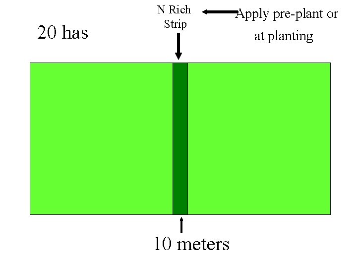 20 has N Rich Strip 10 meters Apply pre-plant or at planting 