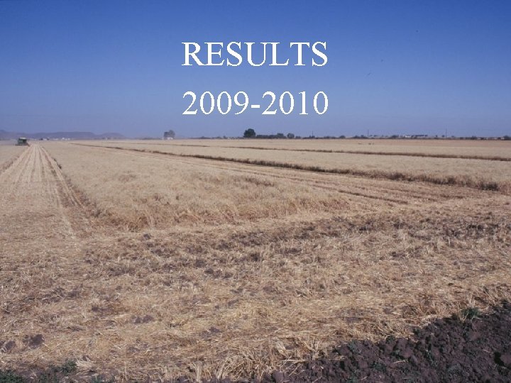 RESULTS 2009 -2010 