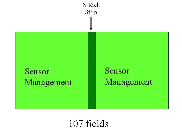 N Rich Strip Sensor Management 107 fields 