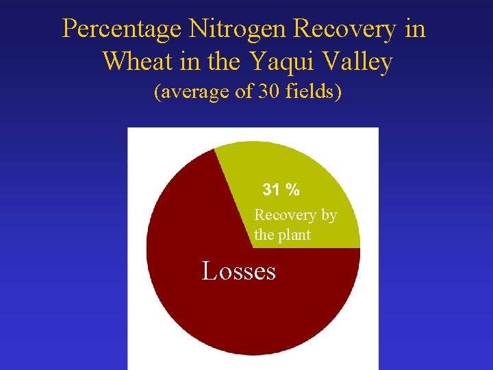 Percentage Nitrogen Recovery in Wheat in the Yaqui Valley (average of 30 fields) Recovery