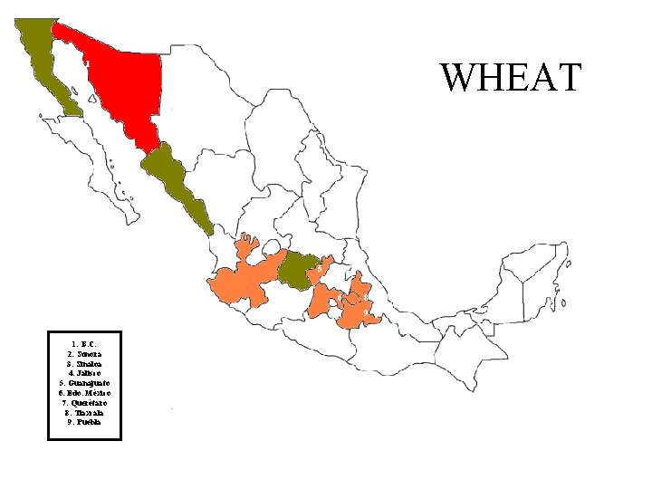 WHEAT 1 2 3 5 4 7 6 8 9 1: B. C. 2: