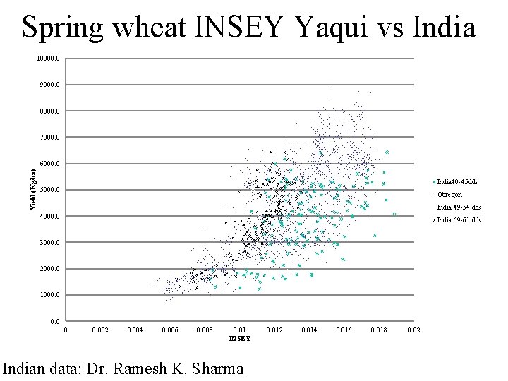 Spring wheat INSEY Yaqui vs India Chart Title 10000. 0 9000. 0 8000. 0