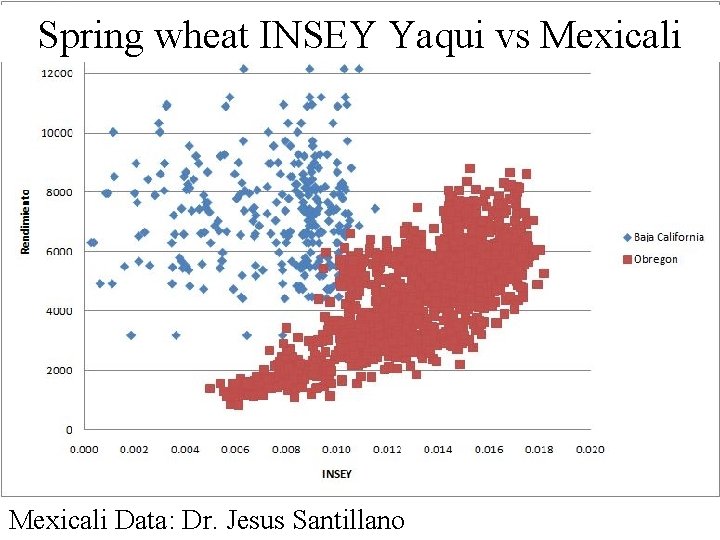 Spring wheat INSEY Yaqui vs Mexicali Data: Dr. Jesus Santillano 