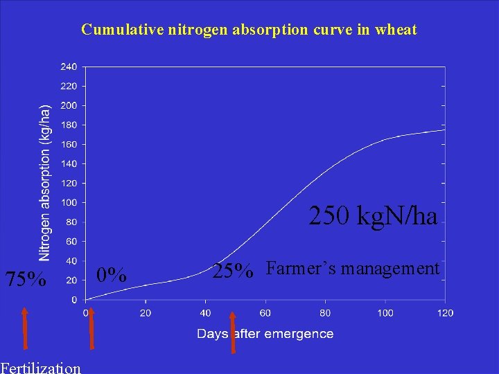 Cumulative nitrogen absorption curve in wheat 250 kg. N/ha 75% 0% 25% Farmer’s management