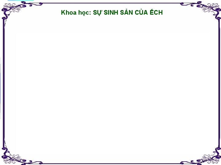 Khoa học: SỰ SINH SẢN CỦA ẾCH 